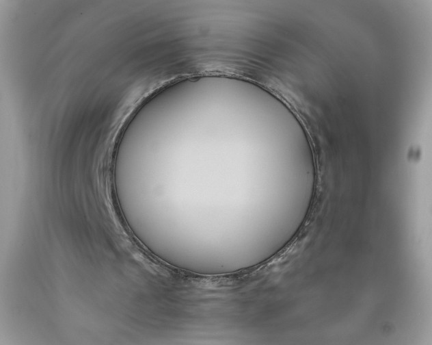 X0000091570241200709101003