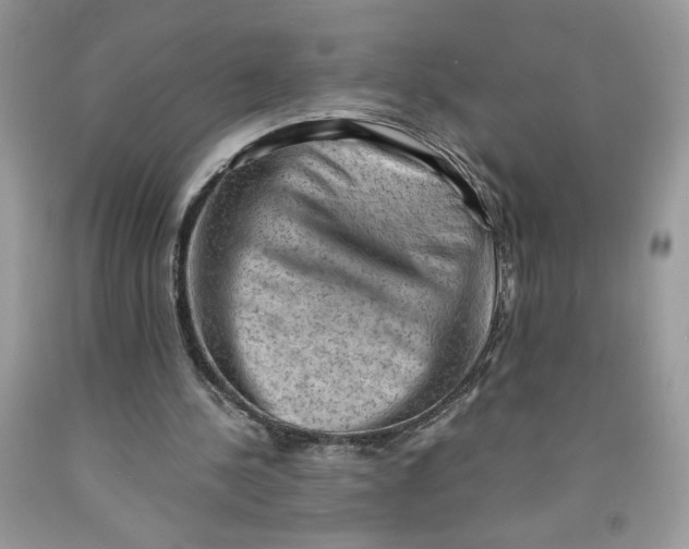 X0000091570244200709101003