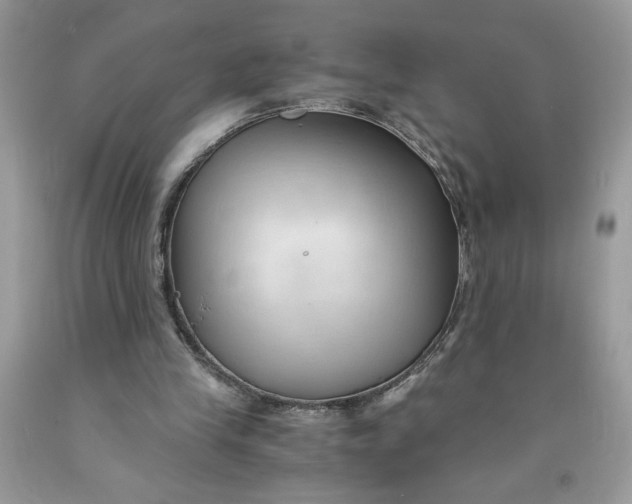 X0000091570245200709101003