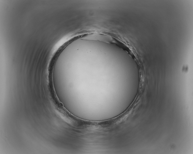 X0000091570246200709101003