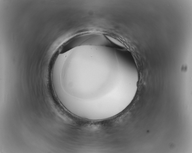 X0000091570247200709101003