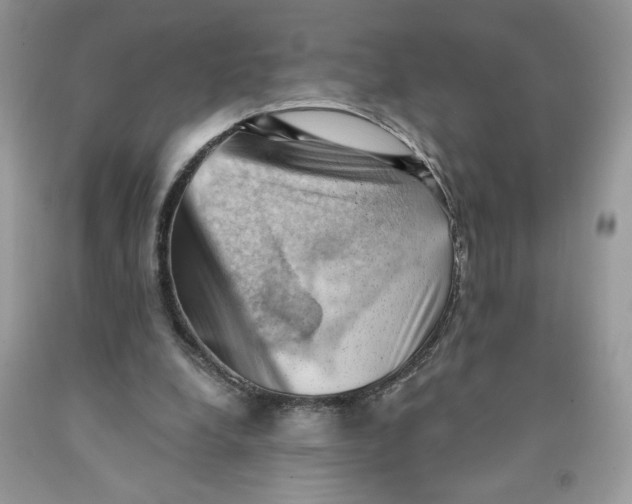 X0000091570248200709101003