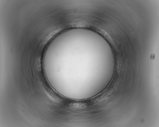 X0000091570251200709101003