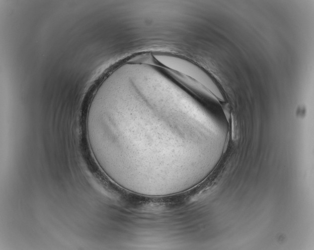 X0000091570252200709101003