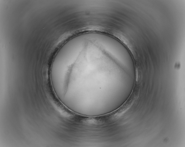 X0000091570253200709101003