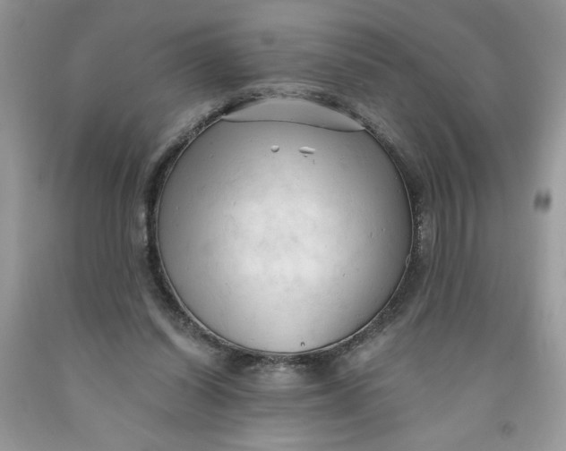 X0000091570254200709101003