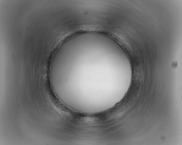 X0000091570255200709101003