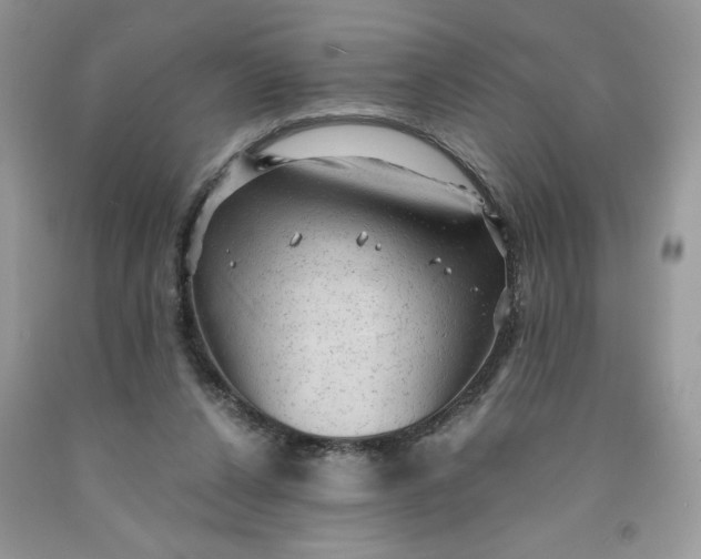 X0000091570256200709101003