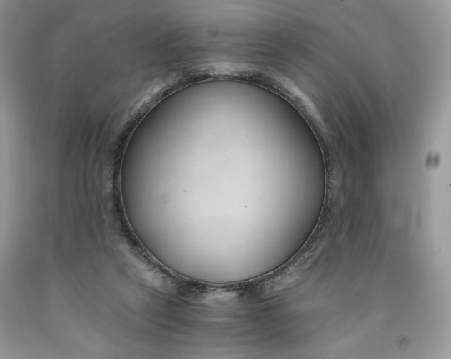 X0000091570257200709101003