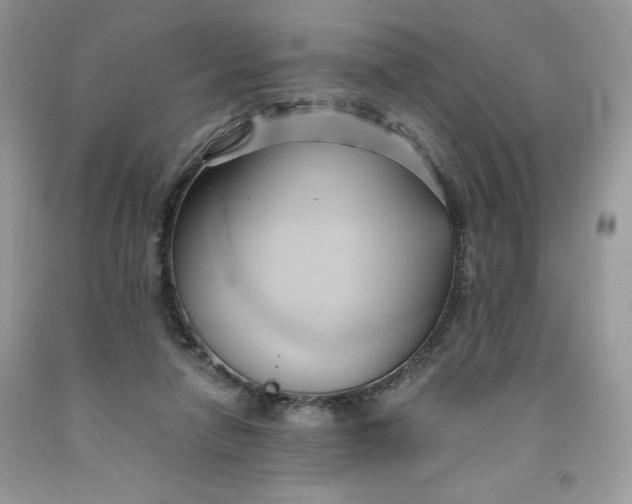 X0000091570258200709101003