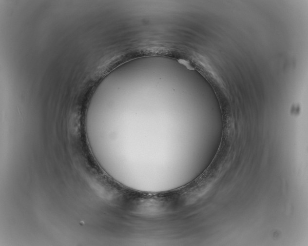 X0000091570259200709101003