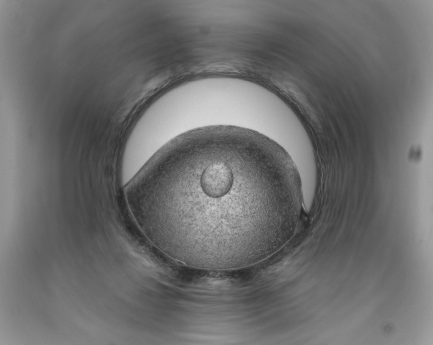 X0000091570260200709101003