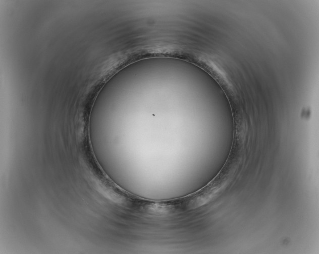 X0000091570261200709101003