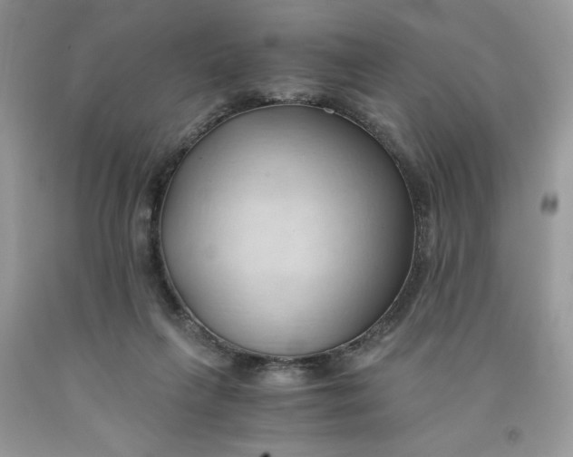 X0000091570263200709101003