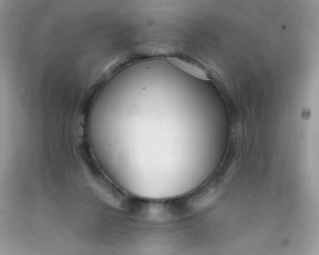 X0000091570264200709101003