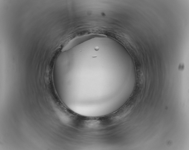 X0000091570266200709101003