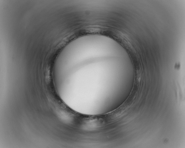 X0000091570267200709101003