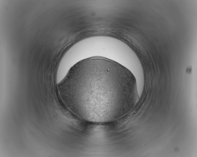 X0000091570268200709101003