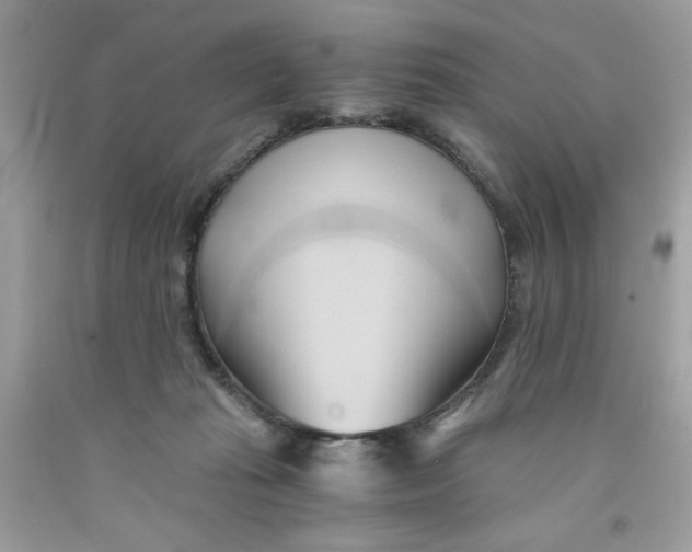 X0000091570269200709101003