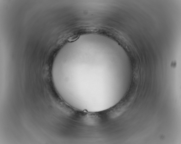 X0000091570270200709101003