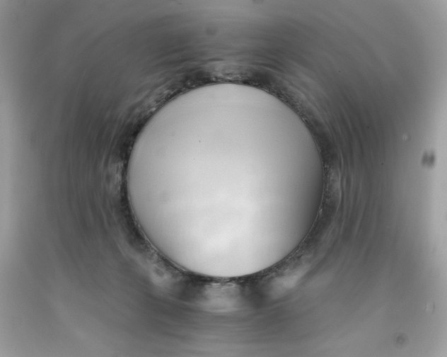 X0000091570271200709101003