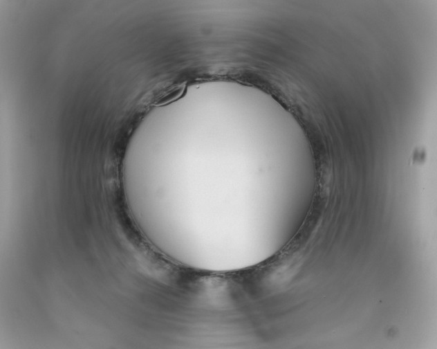 X0000091570272200709101003