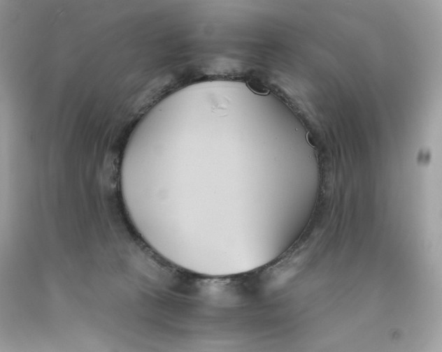 X0000091570273200709101003