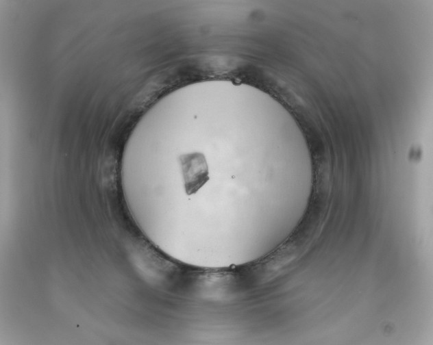 X0000091570274200709101003