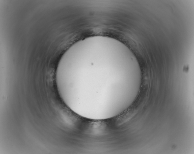 X0000091570275200709101003