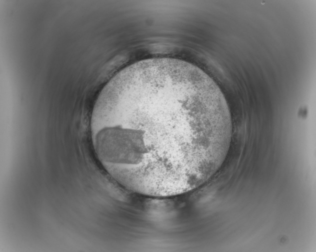 X0000091570277200709101003