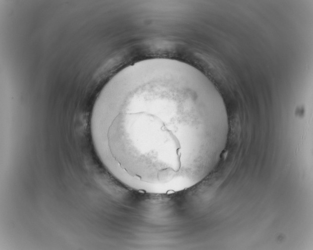 X0000091570278200709101003