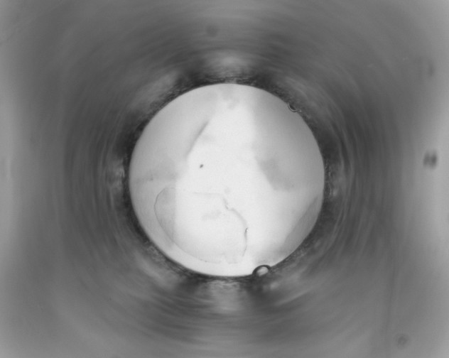 X0000091570279200709101003