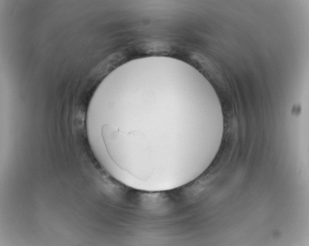 X0000091570281200709101003