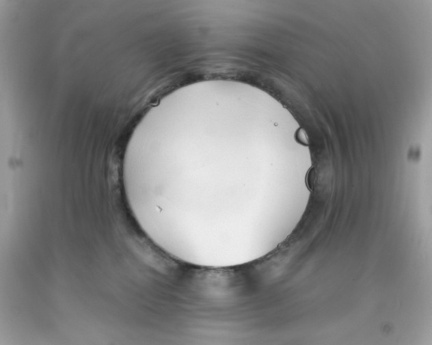 X0000091570282200709101003