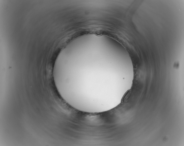 X0000091570283200709101003