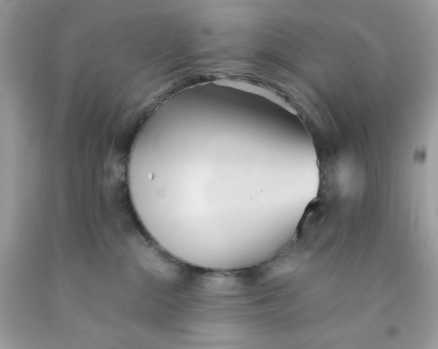 X0000091570284200709101003