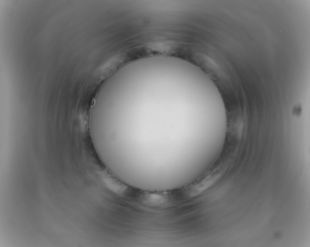 X0000091570285200709101003