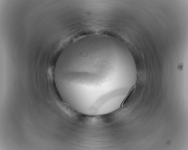 X0000091570286200709101003