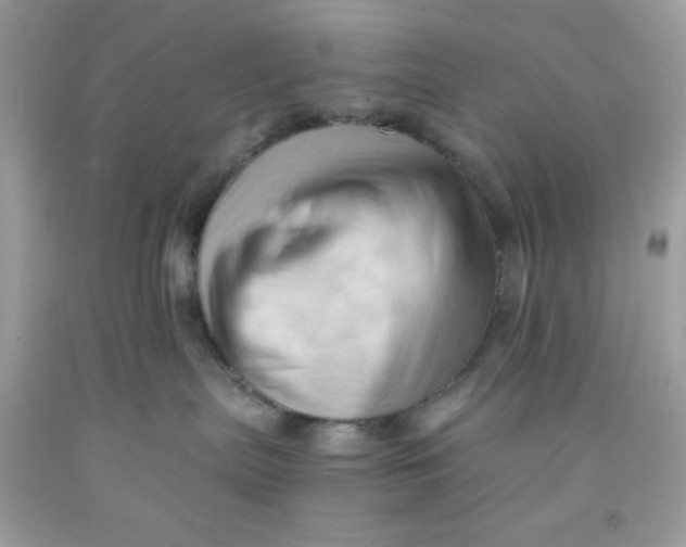 X0000091570287200709101003