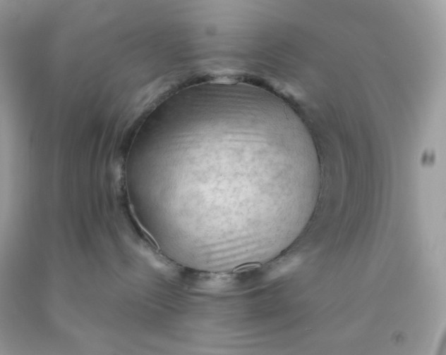 X0000091570288200709101003