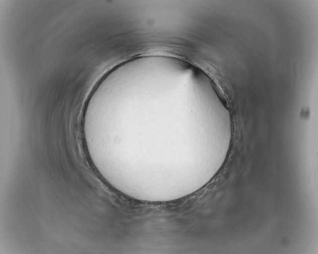 X0000091570289200709101003