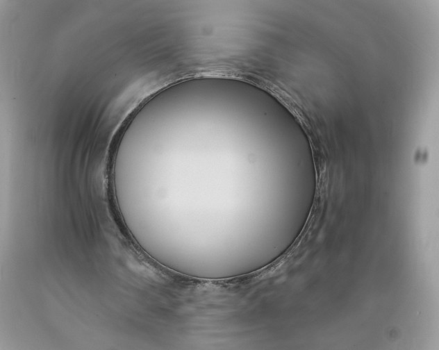 X0000091570290200709101003