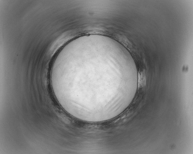 X0000091570291200709101003