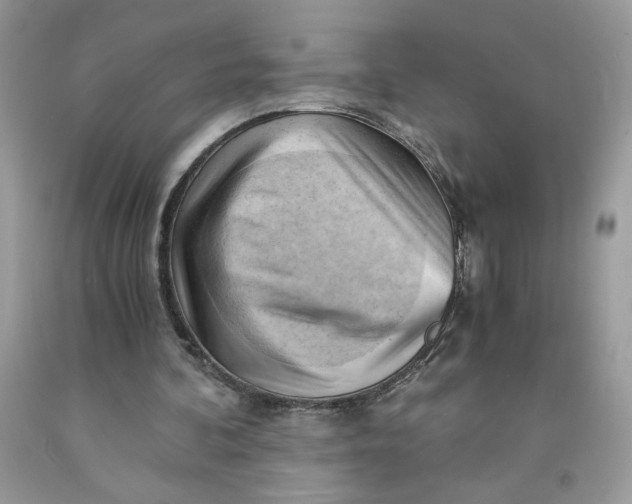 X0000091570292200709101003