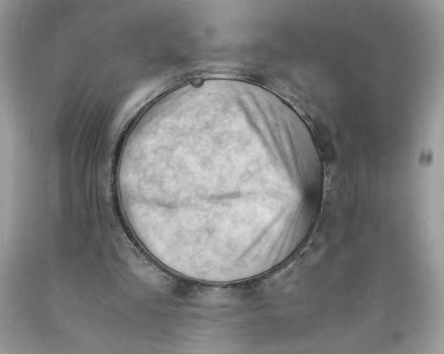 X0000091570293200709101003