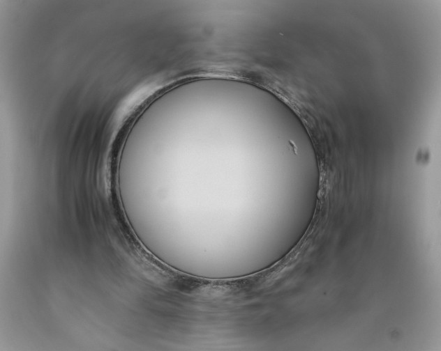 X0000091570294200709101003