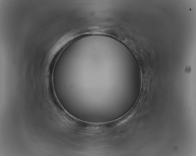 X0000091570295200709101003