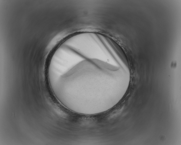 X0000091570296200709101003