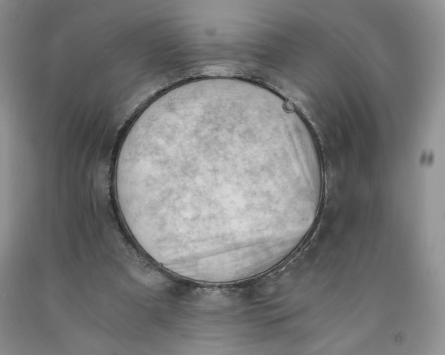 X0000091570297200709101003