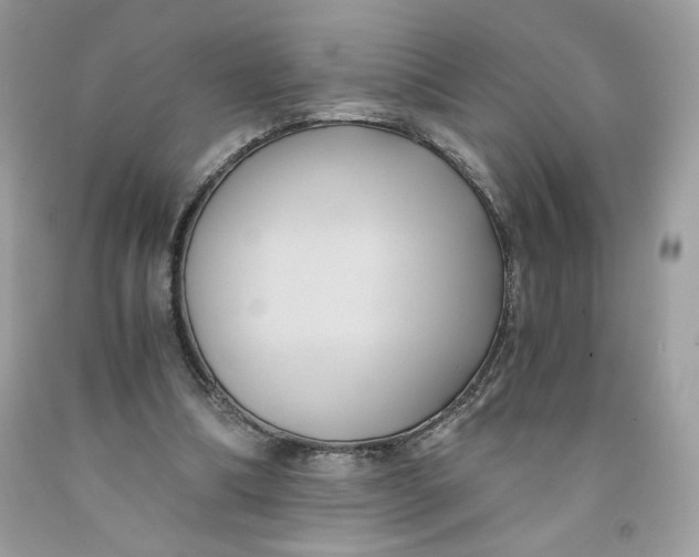 X0000091570298200709101002